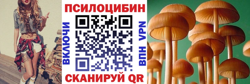 darknet телеграм  кракен ТОР  Апшеронск  Галлюциногенные грибы мухоморы 